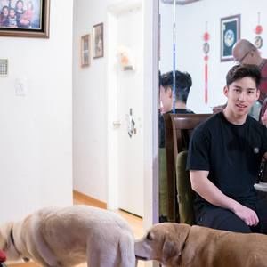 Meet your Posher, Donald